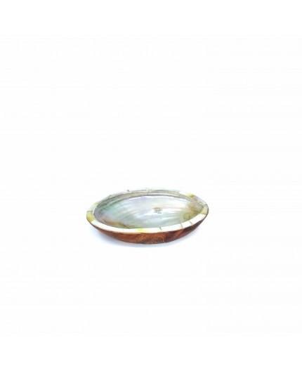 Concha Decorativa Teca y Nácar Paua 01 Concha Decorativa Teca y Nácar Paua 01