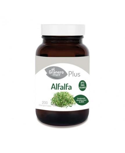 Alfalfa Alfalfa
