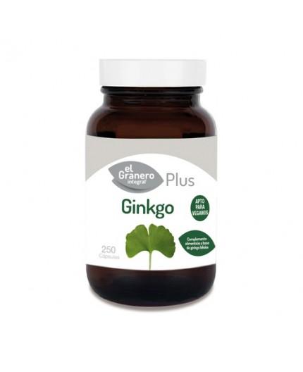 Ginkgo Biloba Plus Ginkgo Biloba Plus