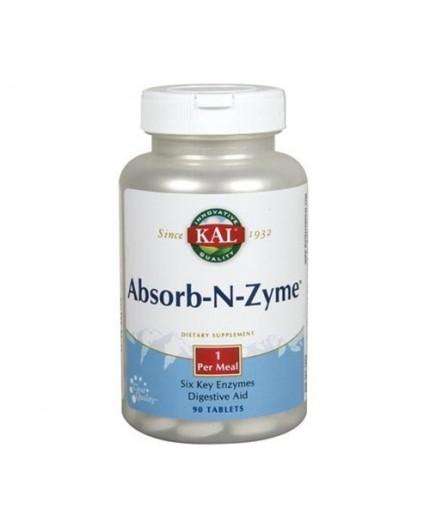 Absorb-N-Zyme Absorb-N-Zyme